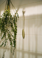 Spa Day 16.9 oz Liquid Hand Soap